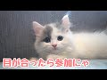 同居2年記念日〜