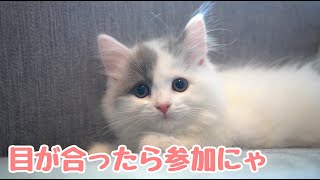 同居2年記念日〜