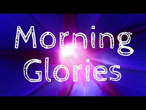 Morning Glories ? Tips & Tricks