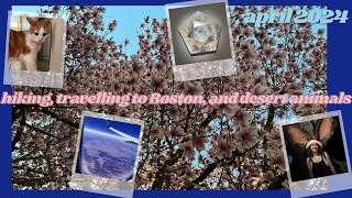 a very busy april (travelling, hiking, and going to museums) by Samantha Louise 15 views 2 weeks ago 6 minutes, 34 seconds