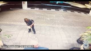 Tampa Police Work to Identify a Suspect in a Commercial Robbery