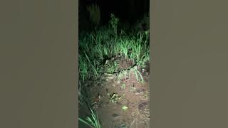 🟢 [ LIVE ] 12 MAKAM PENDEKAR BANTEN // ADA SUARA GERAMAN DAN SOSOK PUTIH MISTERIUS🟢