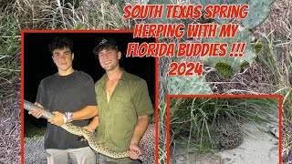South Texas Spring Herping with my Florida Buddies!! 2024!!