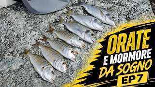 PESCA ALL'ORATA e alla MORMORA a FEEDER🎣❤️ !CATTURE Da SOGNO!  #fishing#fishingvideo#pesca#fish#sea