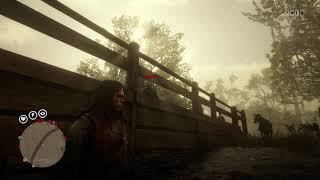 Red Dead Redemption 2 Machete & Hammer fight