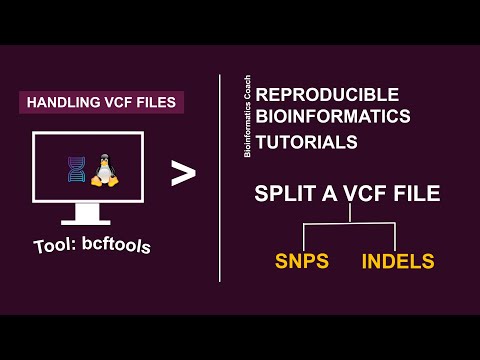 Bcftools tutorial |
