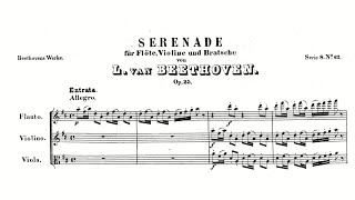 Beethoven: Serenade for flute, violin and viola in D major, Op. 25 (with Score)