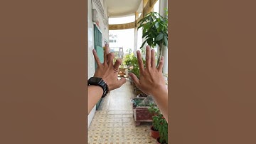 Unbox p.252: Món đồ dành cho mấy người hay quên nè #ghiendaphop #vrstudio #LearnOnTikTok #ThanhCong