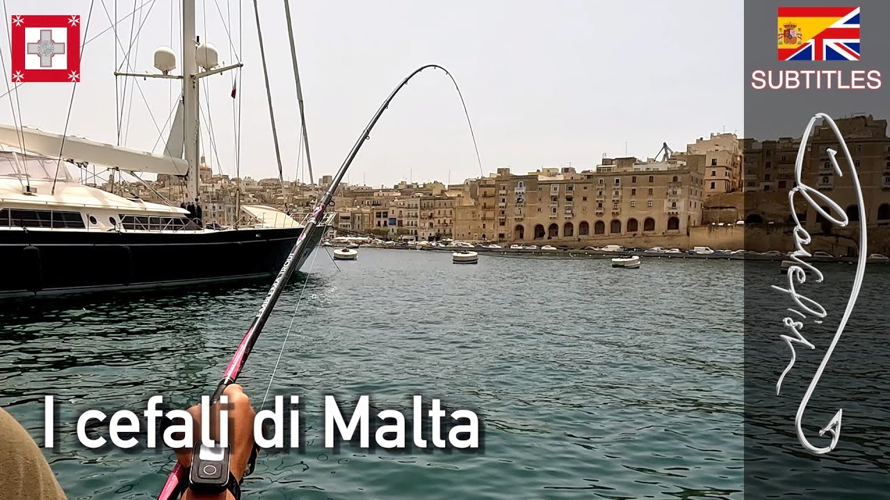 Рыбалка на Мальте: ловля кефали с поджаренным хлебом