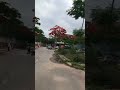 A VƯỢG VÀ ĐỘI HÌH NGỰA SẮT