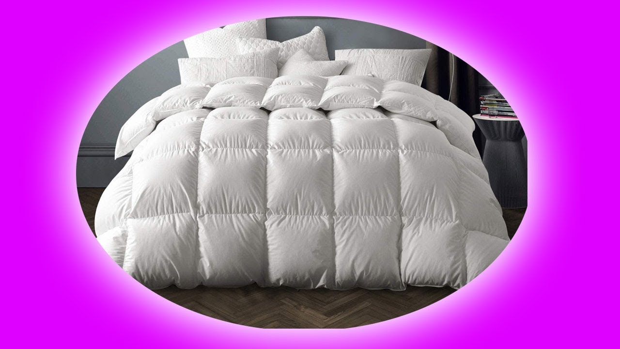 globon winter white goose down comforter