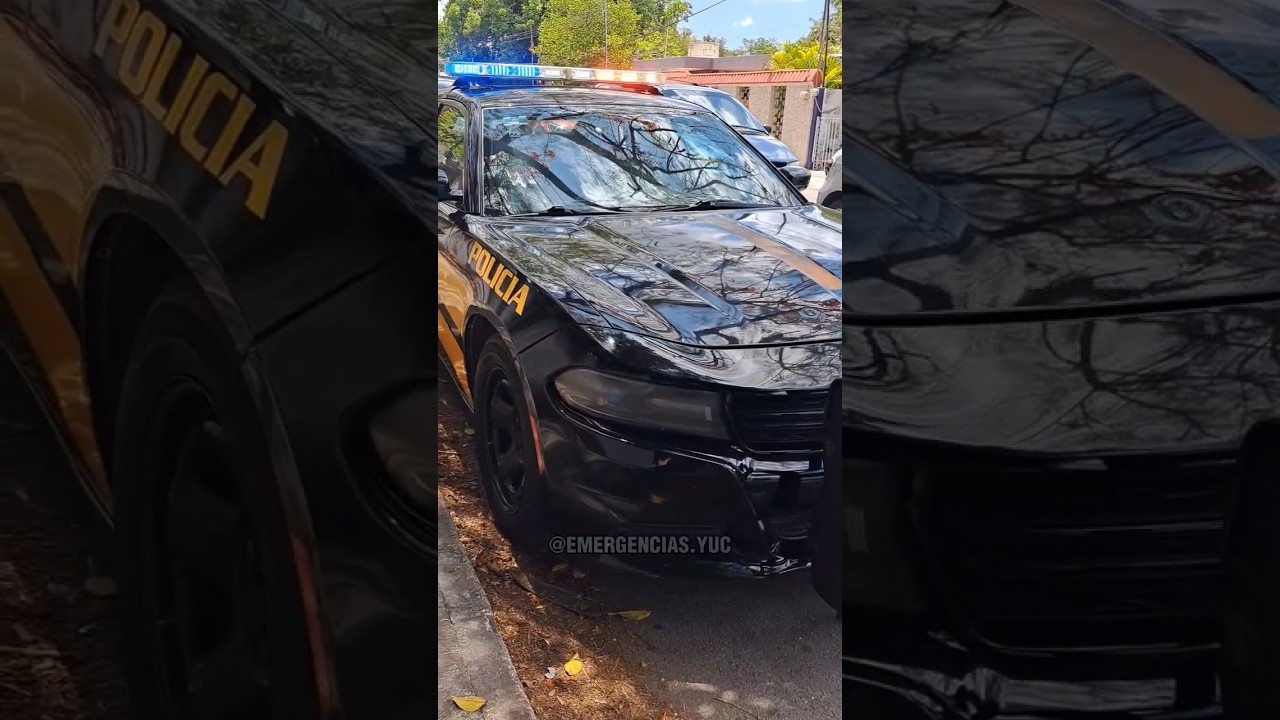 Dodge Charger - SSP Yucatán 🇲🇽 6007 