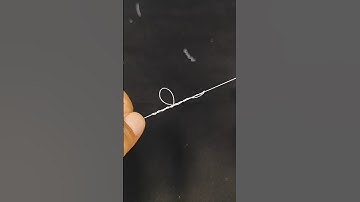 Dropper Loop Knot – The Fastest Method You Must Try! #fishing #fishingknot