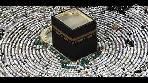 صلاه التراويح الليله الحادية عشر القارئ عمرو البطل و يوسف البطل