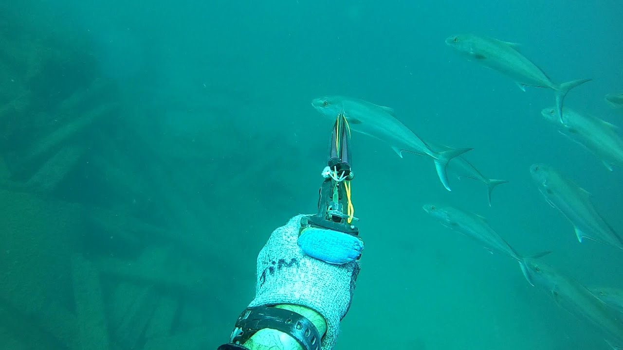 WASTED FISH The Importance of Shot Placement Spearfishing YouTube