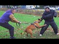 JM se fait attaquer par un chien policier