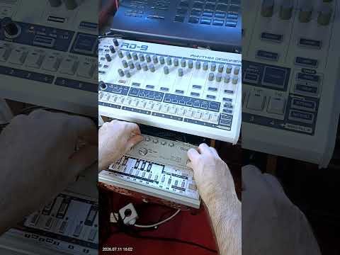 Live canicule 2 #303  #90s #electronicmusic #behringer