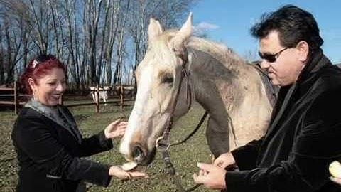 Bódi Guszti és a Fekete Szemek       -  Aki  Betyár-
