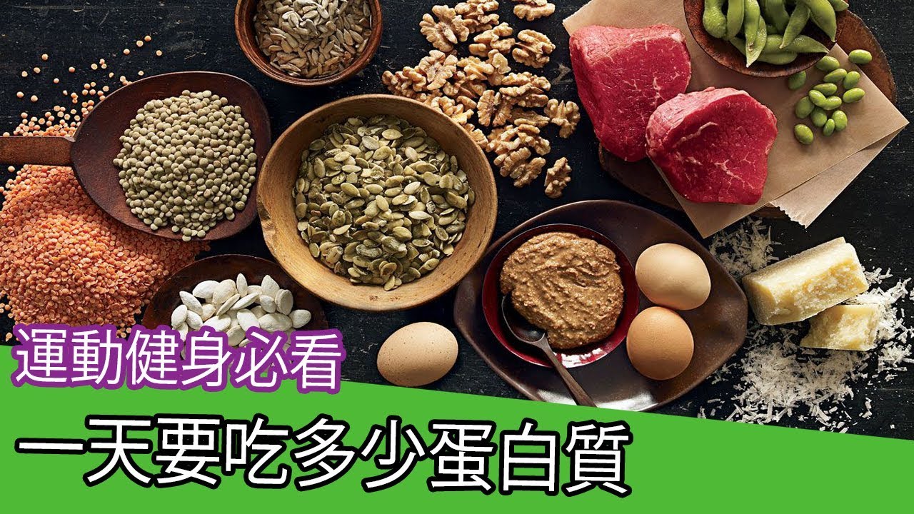 一天要吃多少蛋白質[布魯斯健身運動教學] 縮圖