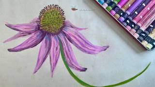 Drawing coneflowers with the NEW Caran d'Ache Neocolor II Botanic set | Sketch with me