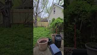 19270 Lorain Rd, Fairview Park. Historical house for sale