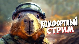 КОМФОРТНЫЙ СТРИМ С КАПИБАРДИ