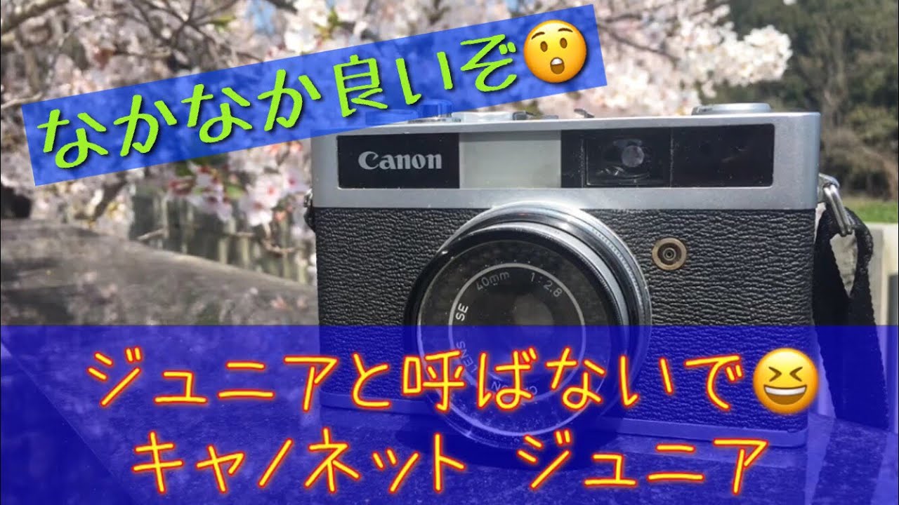 安いだけじゃない！キャノネットジュニアはなかなかの写りでした