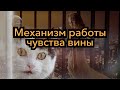 Как работает чувство вины в отношениях