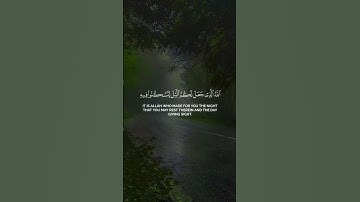 لا إله إلا أنت سبحانك إني كنت من الظالمين #تلاوة_مؤثرة #القرآن_الكريم