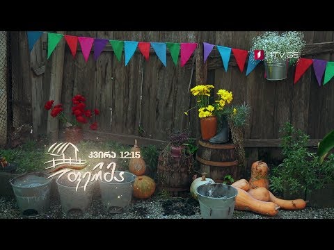 „ფერმა\' - 23 დეკემბერს, 12:15 საათზე