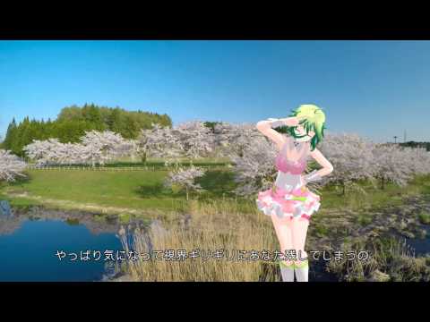【MMD】まままGUMIさんで『だってだってだって』 桜 ドローン空撮