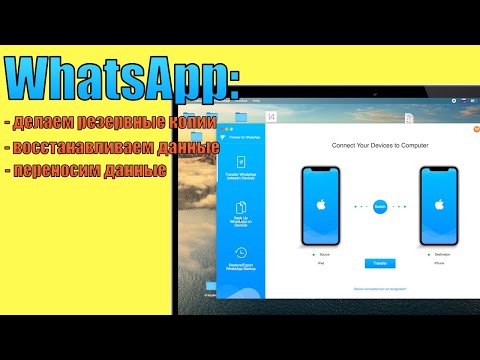 Как сделать резервную копию, восстановить или переместить данные WhatsApp на iPhone и Android?
