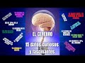 15 datos impactantes, curiosos y sorprendentes sobre el CEREBRO. El cerebro de Albert Einstein