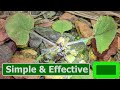 How to Get Rid of Weeds in Flower Beds | Stop Weeds In Landscaping