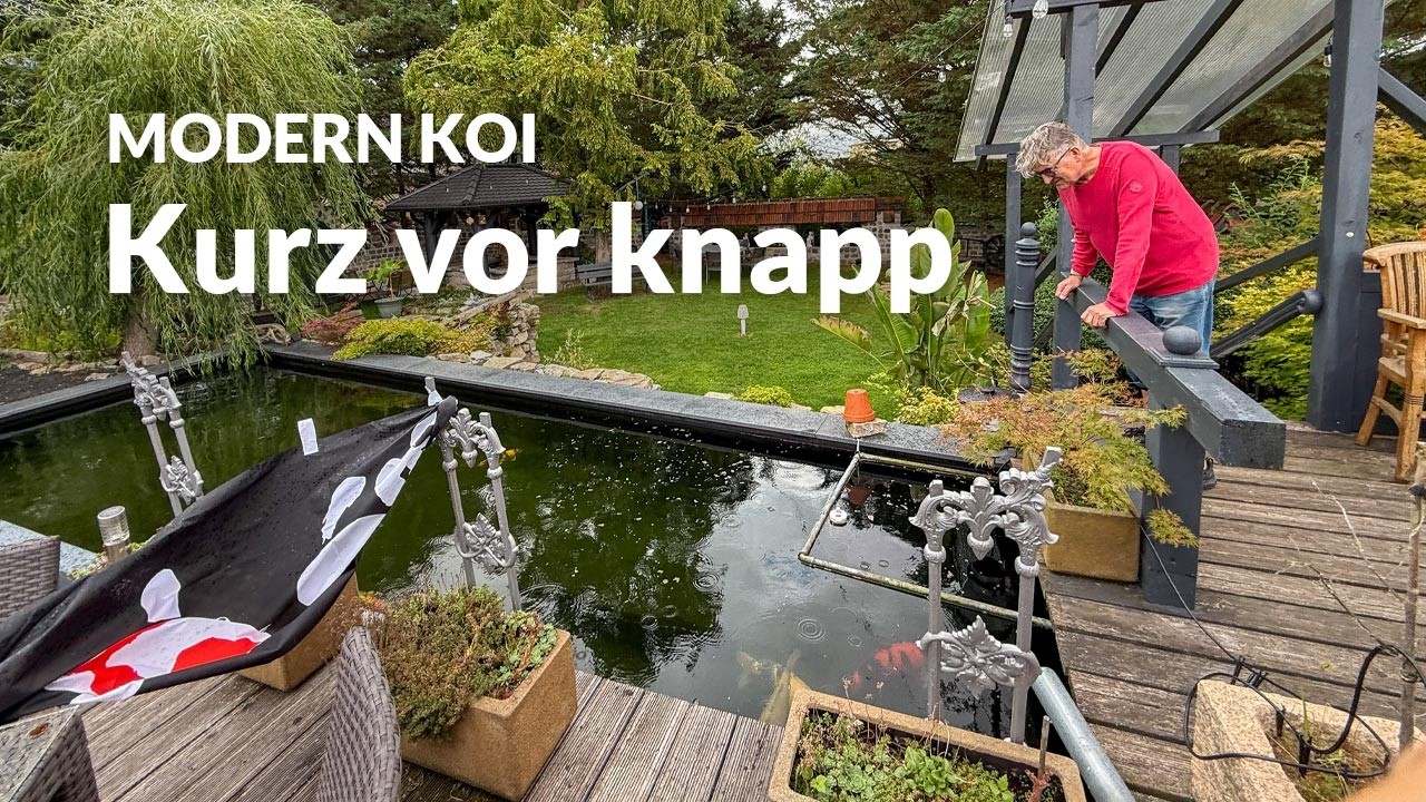 Eine Wasseranalyse an Stefans 130.000l Teich | Modern Koi Blog #8103