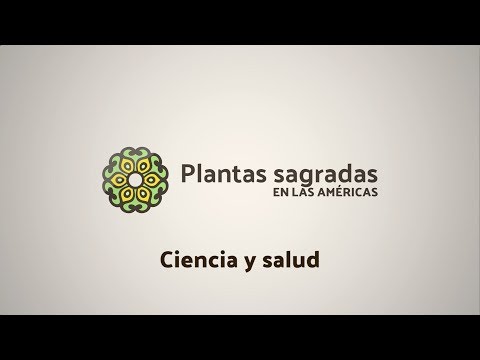 Globalization and Sacred Plants | Plantas Sagradas en las Américas