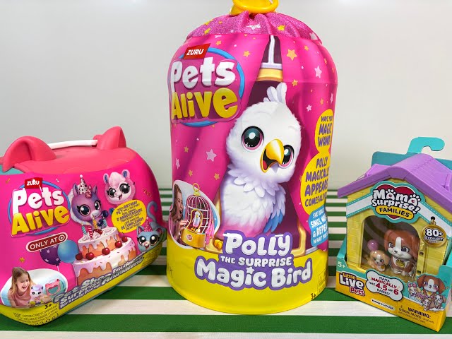 Polly the Surprise Magic Bird - Pets Alive - YouTube