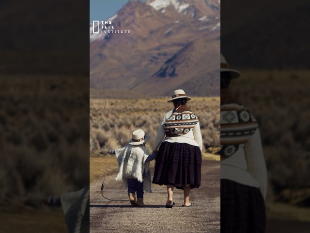 Where Would YOU Choose to TEFL? 🌍 | TEFL Institute