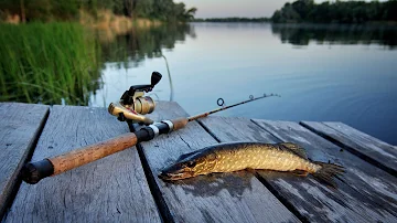 Cosa serve per pescare al lago di Vico?