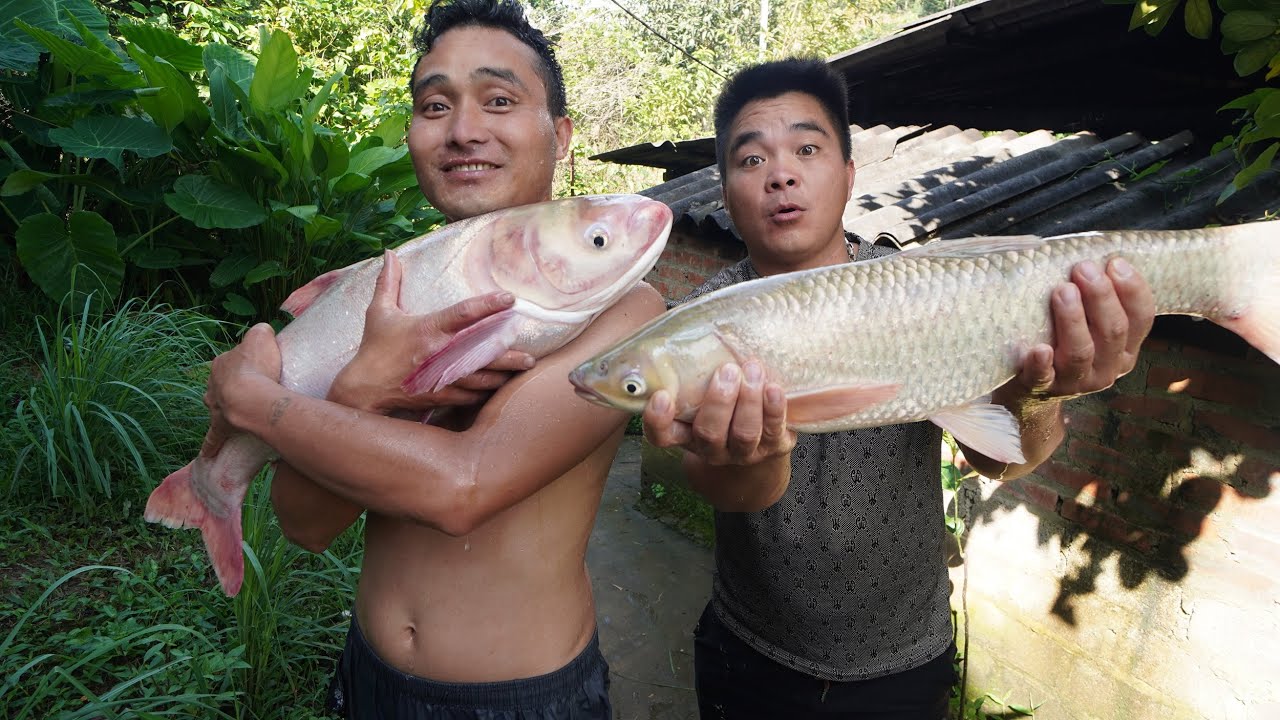 GỎI CÁ MÈ SIÊU TO | Nhịp Sống Tây Bắc