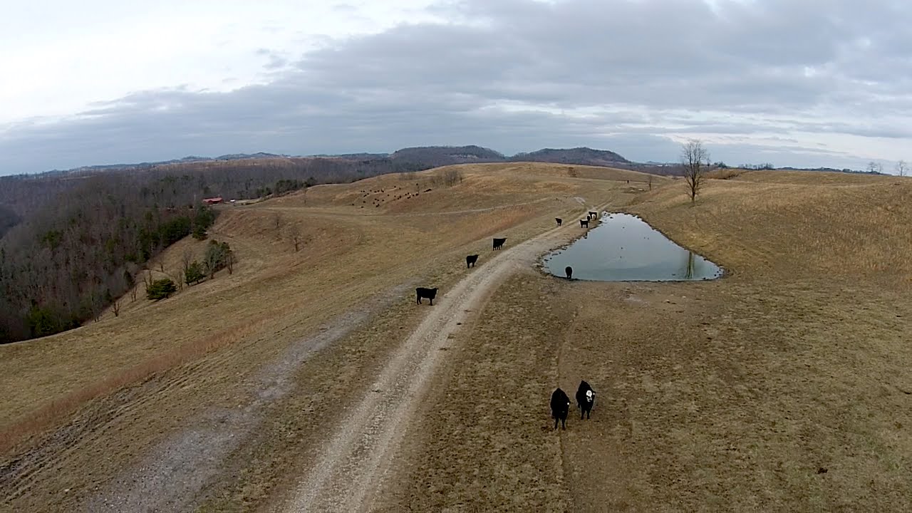 UK Extension Fosters Unique Farming Atop Reclaimed Strip Mine YouTube