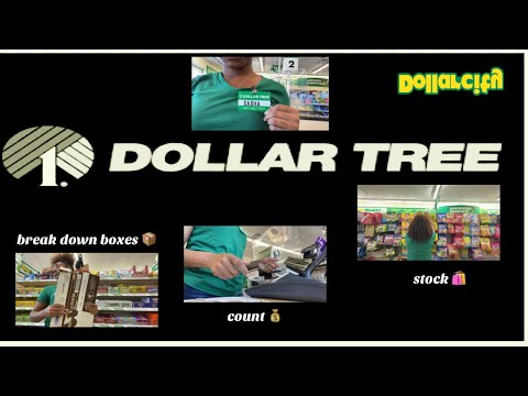 Come To Work With Me At DOLLAR TREE SashaDonyae
