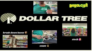 Come To Work With Me At DOLLAR TREE 💰🌳!!!! SashaDonyae