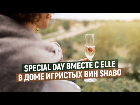 Экскурсия Центр культуры вина Шабо. SHABO u0026 ELLE