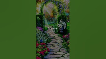 تلاوة خاشعة ومؤثرة جداً عبد الرحمن مسعد #تلاوة_خاشعة #قرآن #المصحف #راحة_نفسية #عبدالرحمن_مسعد