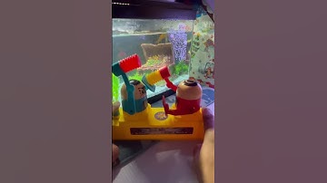 🔴🤼‍♂️✨🤼‍♂️🔵WHO WINS SUPER COOL AND CRAZY WORLDS BEST BATTLE OF ROBOTS 1 #asmr #shorts