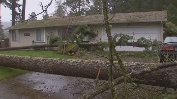 Windstorm topples trees, knocks out power to tens of thousands in Portland metro