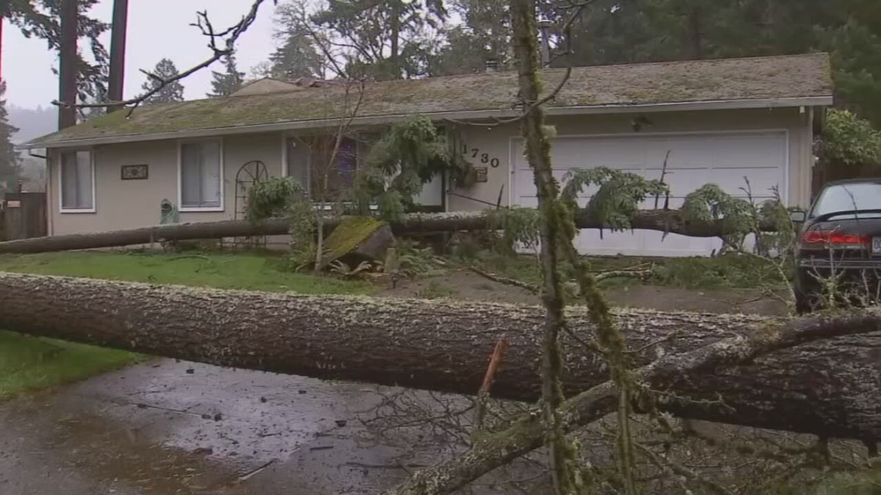 Windstorm topples trees, knocks out power to tens of thousands in ...