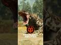 Megalania TLC - Ability Animation Updates!