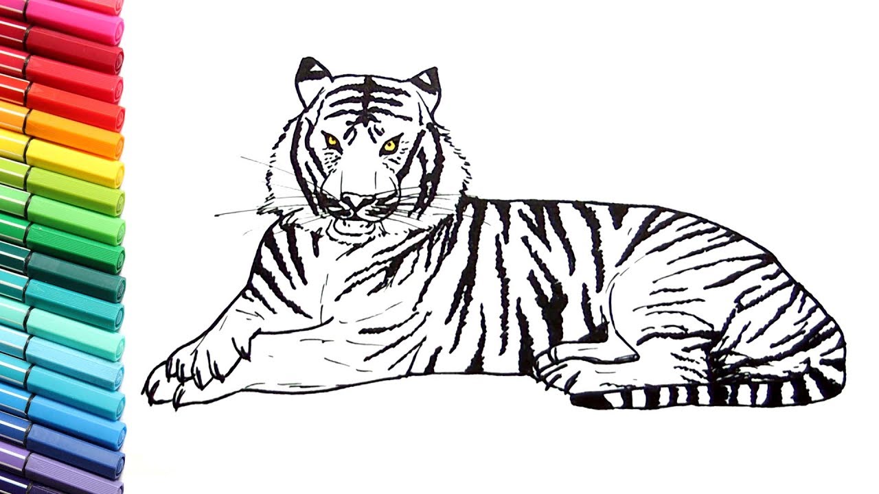 15 Best Tiger Coloring Pages for Kids and Adults in 2023